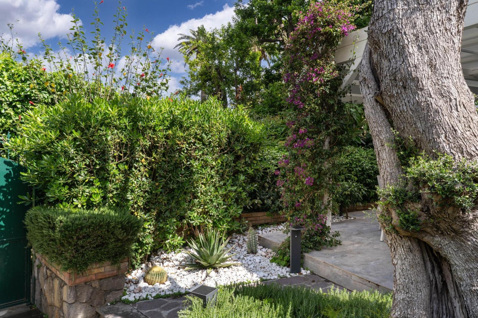 Il Canto Delle Sirene Península Sorrentina Exterior foto